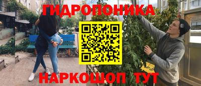 Альфа ПВП Нальчик