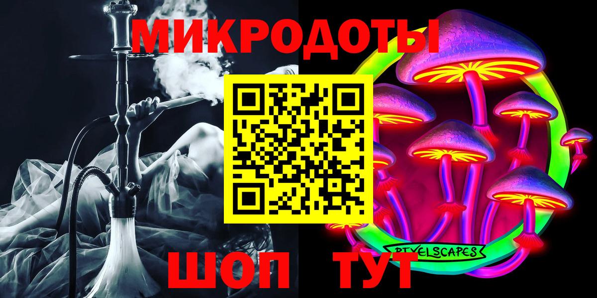 Псилоцибиновые грибы мицелий Сосновый Бор
