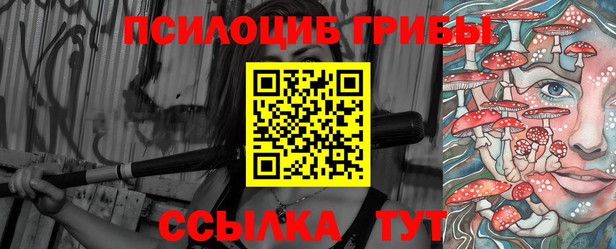 Псилоцибиновые грибы прущие грибы  Вход с VPN  где купить   Сосновый Бор 