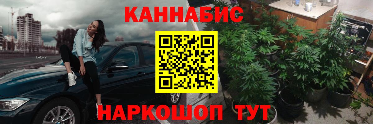 МАРИХУАНА планчик  Вход с VPN  Конопля OG Kush  МАРИХУАНА ГИДРОПОН  Сосновый Бор 